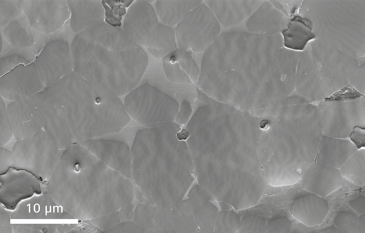 场发射拉萨扫描电镜