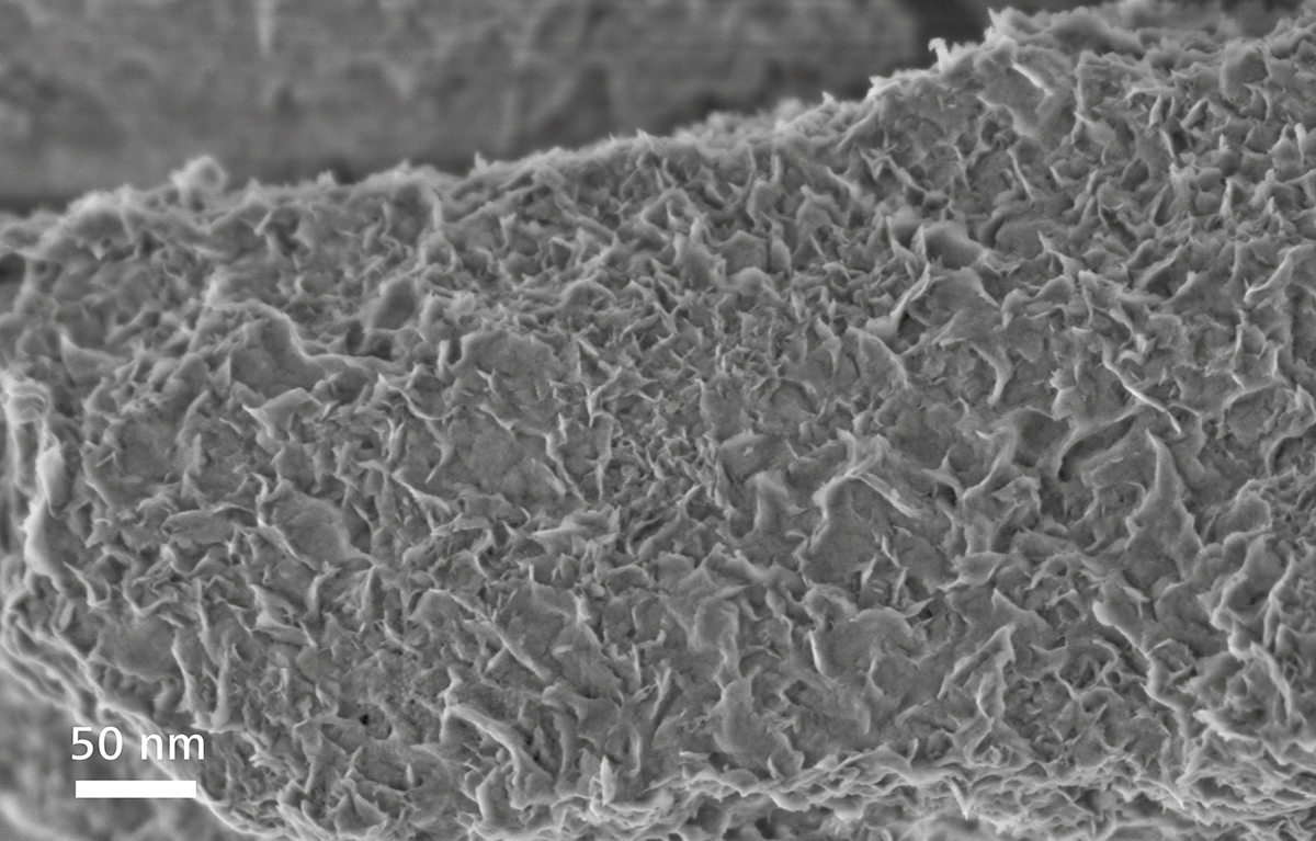 场发射拉萨扫描电镜