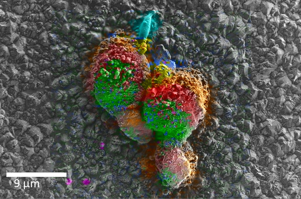 拉萨拉萨蔡司拉萨扫描电镜